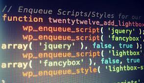 wp_enqueue_script wordpress