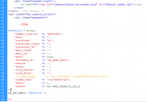 wp_nav_menu