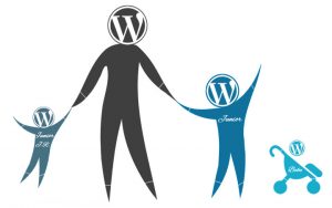 Term Trong Wordpress