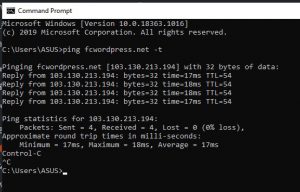 Lenh Check Domain Da Tro Ve Hosting Chua