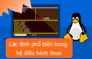 Cac-lenh-pho-bien-tron-he-dieu-hanh-linux