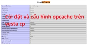Cai Dat Va Cau Hinh Opcache Tren Vesta Cp